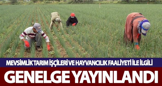 Mevsimlik tarım işçileri ve hayvancılık faaliyeti ile ilgili genelge yayınlandı