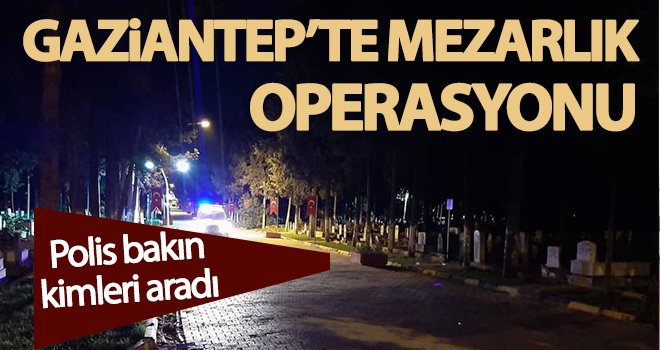 Mezarlık operasyonu! Didik didik aradılar