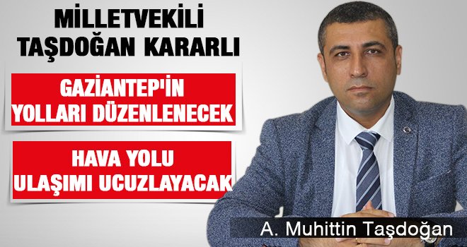 Milletvekili Taşdoğan yol çalışmalarını yakın takipte 