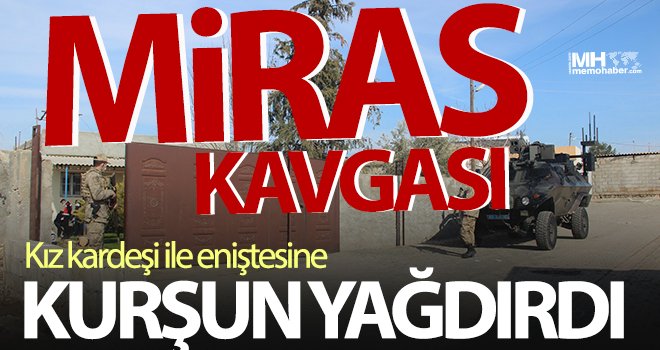 Miras kavgasında kız kardeşi ile eniştesini öldürdü