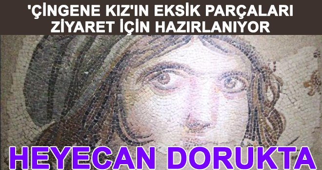 Mozaik Müzesi'nde yoğun çalışma