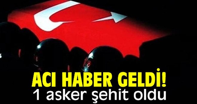 MSB: Pençe-Kilit operasyonu bölgesinde 1 asker şehit oldu
