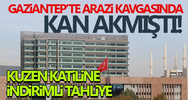 Müebbet hapis cezası alan kuzen katiline haksız tahrik indirimli tahliye