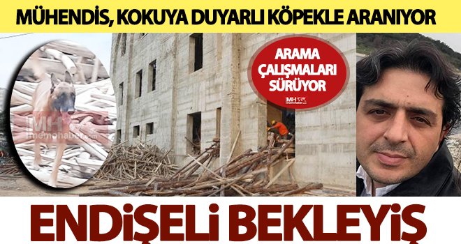 Mühendis için Adana'dan köpek RODİ getirtildi