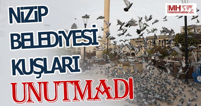 Nizip Belediyesi kuşlara yem bıraktı