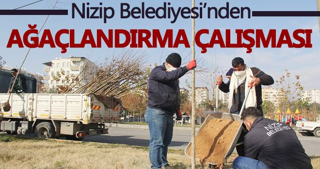 Nizip Belediyesi’nden ağaçlandırma çalışması