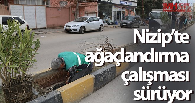 Nizip’te ağaçlandırma çalışması sürüyor