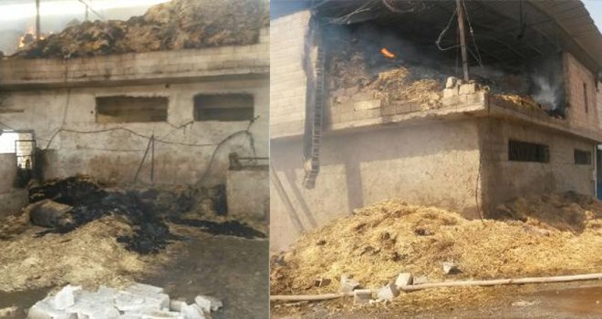 Nizip'te Ahır Yangınında 15 Hayvan Telef Oldu