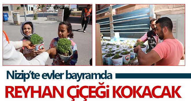Nizip’te evler bayramda reyhan çiçeği kokacak