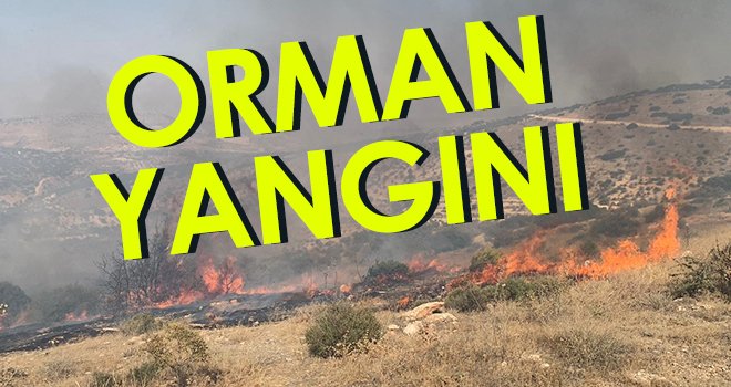 Nizip'te orman yangını....