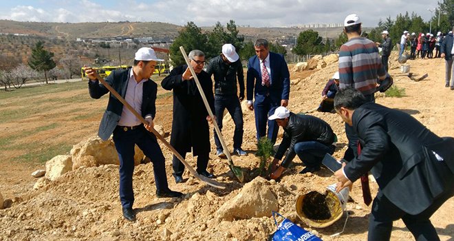 Oğuzeli MYO öğrencileri fidan dikme etkinliğinde
