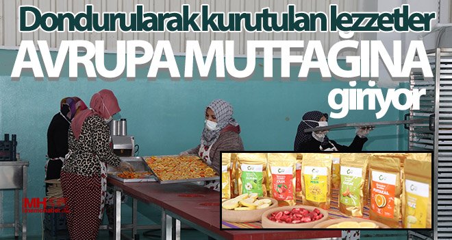 Oğuzelili kadınlar kurutulmuş meyve ihracatı hazırlığında