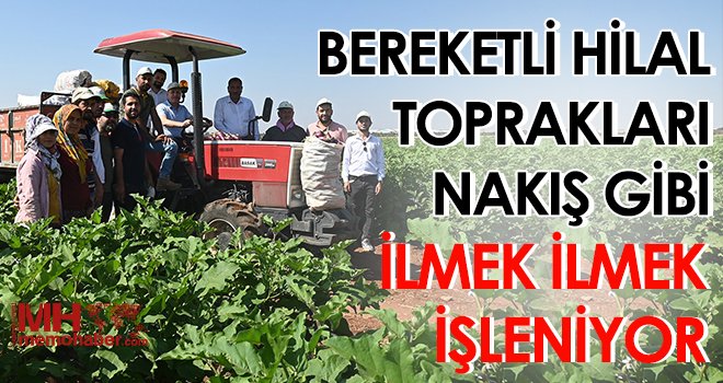 Oğuzeli’nde 62 aileye sürdürülebilir geçim kaynağı