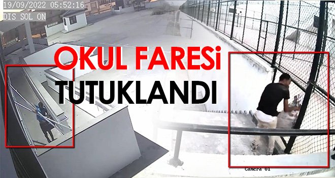 Okul faresi tutuklandı