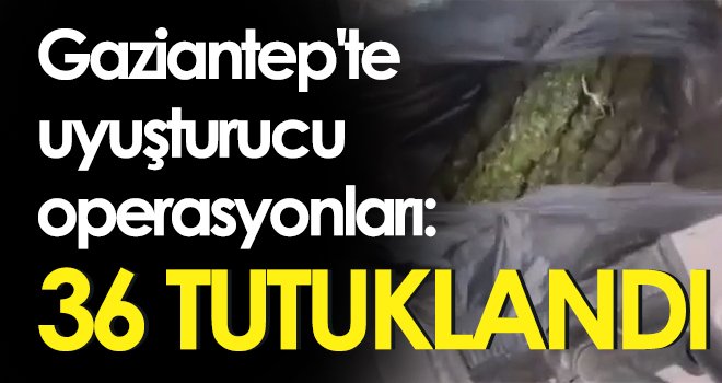 Operasyonlarda çok miktarda muhtelif uyuşturucu madde ele geçirildi