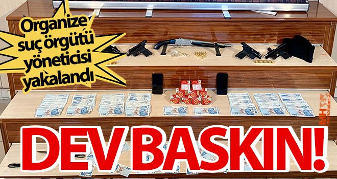 Organize suç örgütü yöneticisi yakalandı