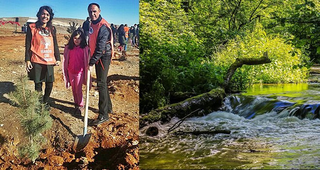 Orman varsa su da var