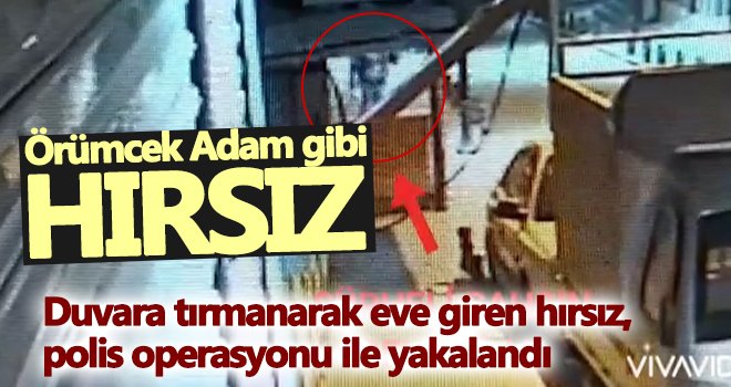 Örümcek Adam gibi hırsız...