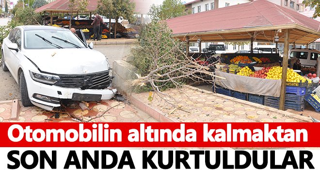 Otomobil 3 ağacı devirerek durabildi