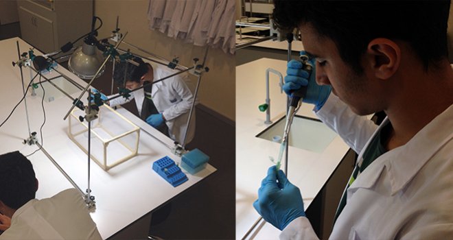 Özel Sanko Fen Ve Teknoloji Lisesi’nden TÜBİTAK Başarısı