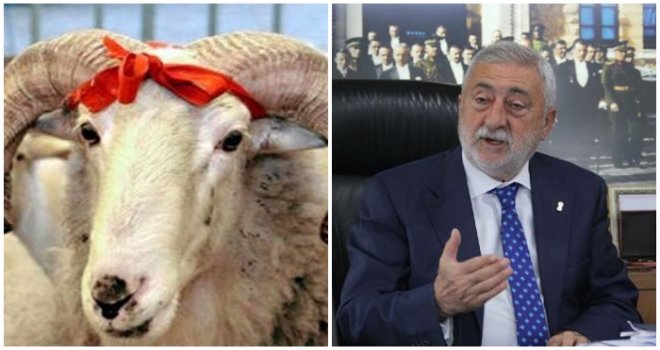 Palandöken uyardı: Kurbanlık almak için acele etmeyin