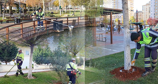 Parklardaki ağaçlar budanıyor