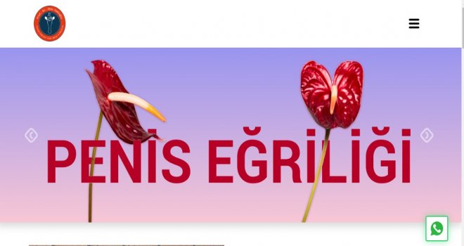 Penis Eğriliği Nedir, Nasıl Tedavi Edilir?