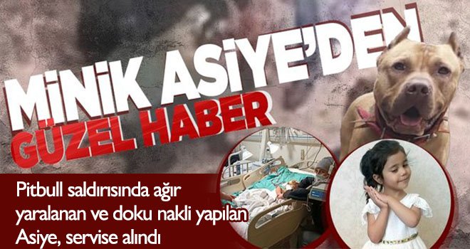 Pitbull saldırısında ağır yaralanan ve doku nakli yapılan Asiye, servise alındı