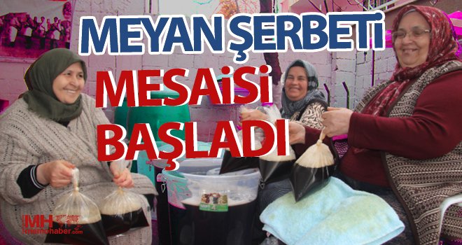 Ramazanın vazgeçilmez içeceği meyan şerbeti mesaisi başladı