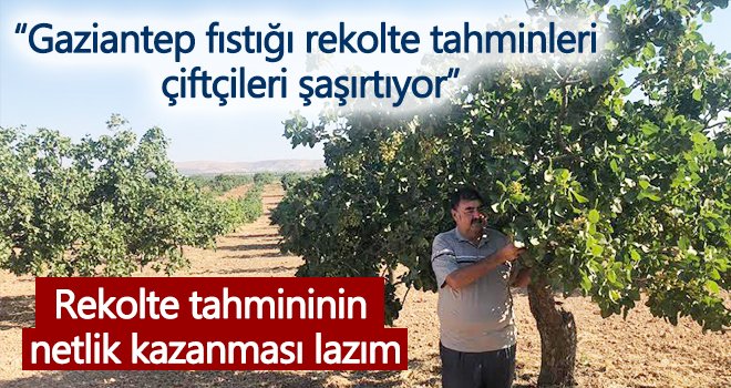 Rekolte tahmininin netlik kazanması lazım