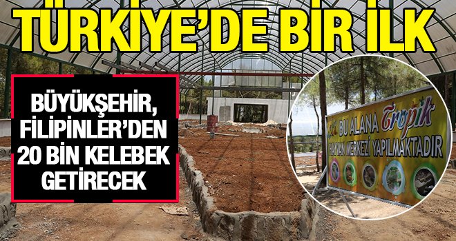 Rengarenk kelebekler, Gaziantep'te uçacak