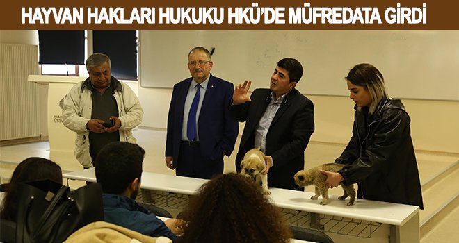 Sadece insanlardan değil hayvanlardan da sorumluyuz 