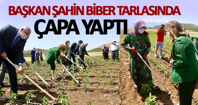 Şahin: Bu lezzet bütün dünyaya pozitif gündem oluşturacak