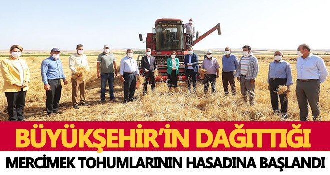 Şahin: Çiftçinin yüzü gülerse dünyanın da yüzü güler