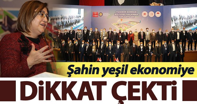 Şahin: Dünya 'yeşil ekonomi' diyor