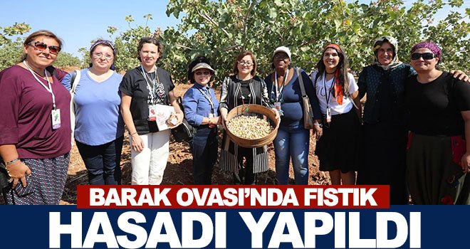 Şahin: Fıstık için ne gerekiyorsa onu yaptık 