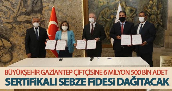 Şahin: Gelir getirici fidanlar dikmeyi amaçlıyor