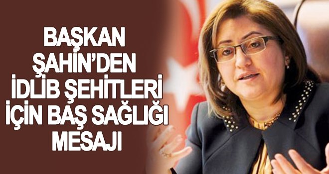 Şahin: Milletimizin başı sağolsun!