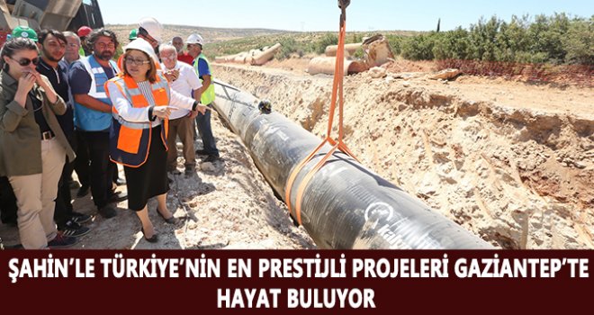 Şahin, Türkiye’nin en prestijli projelerini hayata geçirmeyi başardı