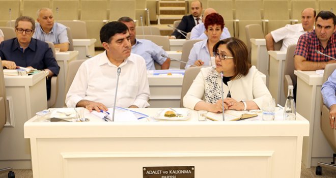 Şahin: “Uluslararası bir sorun yerel bir bakış açısıyla çözülemez”