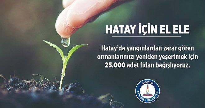 Şahinbey Belediyesi’nden Hatay’a 25 bin fidan