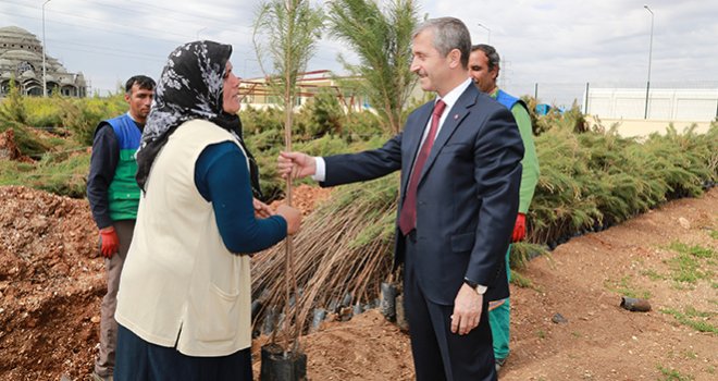 ŞAHİNBEY GAZİANTEP’İ YEŞİLLENDİRİYOR