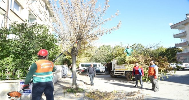 ŞAHİNBEY'DE BUDANAN AĞAÇLAR DAR GELİRLİNİN EVİNİ ISITACAK