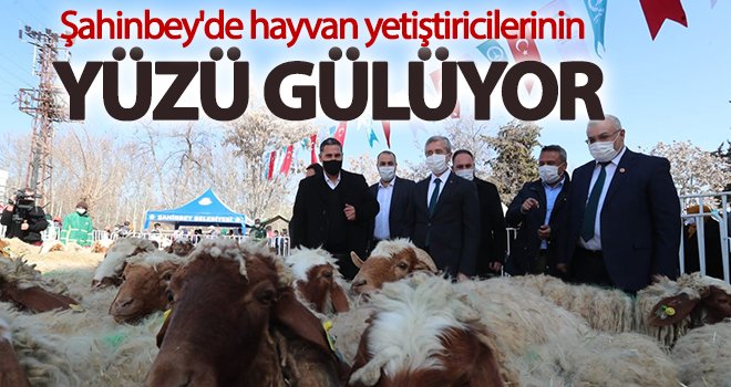 Şahinbey'de hayvan yetiştiricilerinin yüzü gülüyor