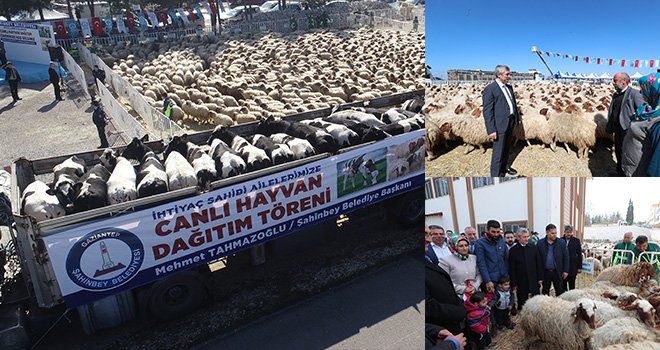 Şahinbey'den çiftçiye bedelsiz destek