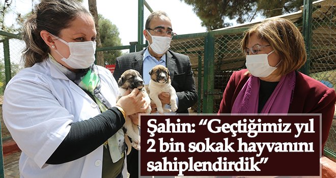 Şahin’den hayvan barınağına ziyaret