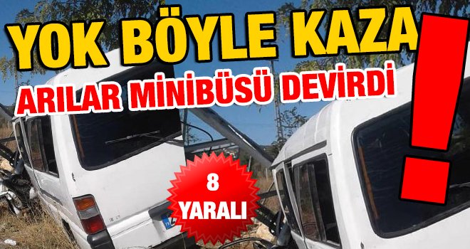 Şaka gibi! Gaziantep'te arılar kazaya sebep oldu