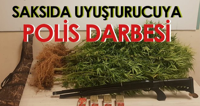 Saksıda uyuşturucuya polis darbesi
