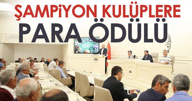 Şampiyon kulüplere para ödülü