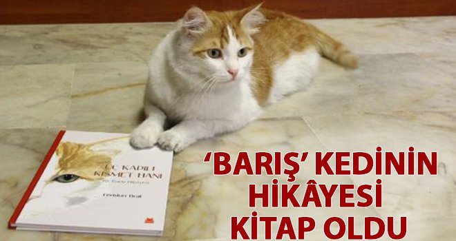 Savaştan kurtarılan kedinin hikâyesi kitap oldu